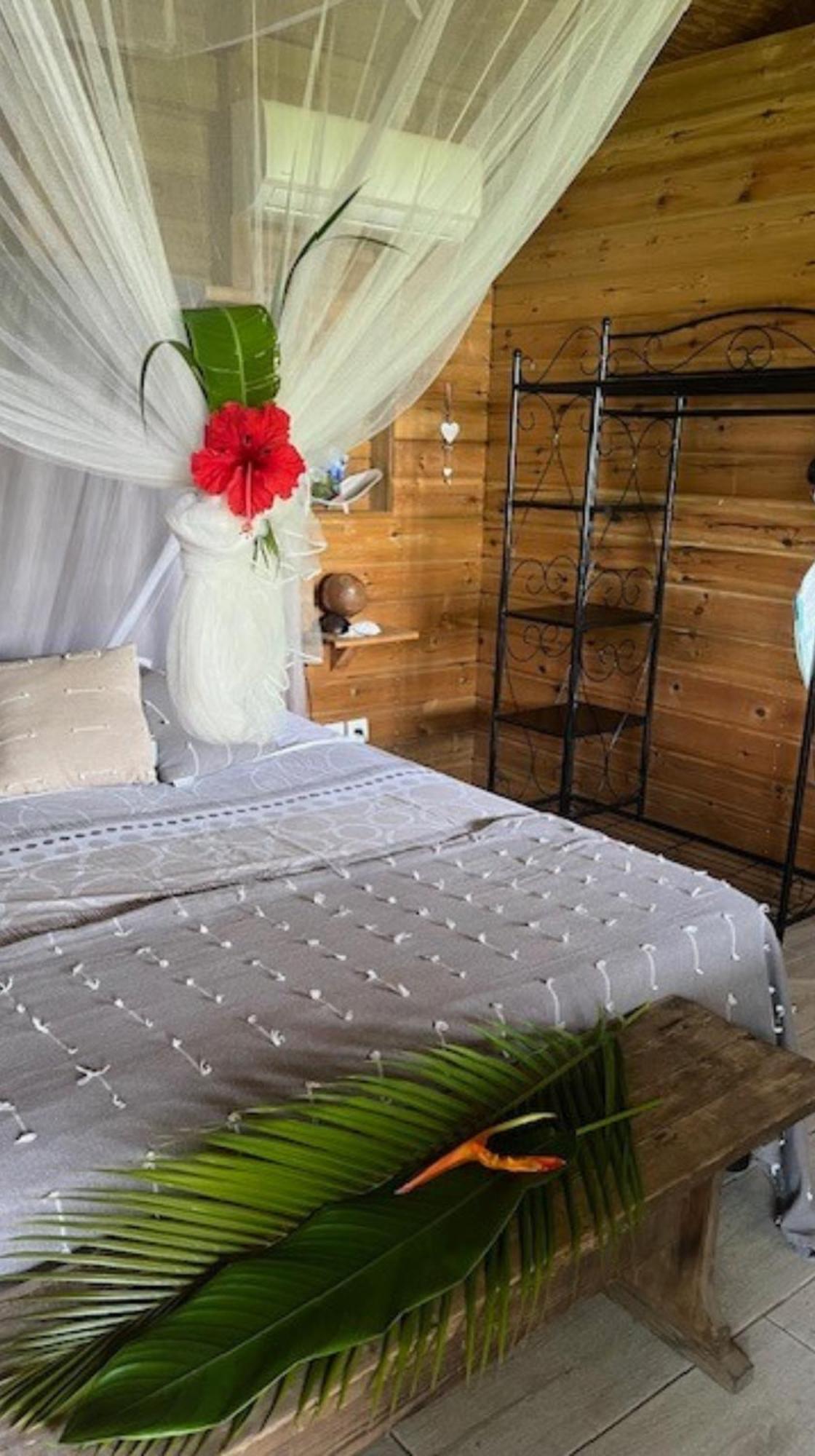 Bungalow La Tortue Bleue Буянт Екстер'єр фото